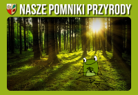 Weryfikacja pomników przyrody (drzew) na terenie gminy
