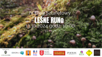 bieg leśne runo