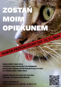 Opiekunem Kotów Wolno Żyjących 2024 - przedluzony