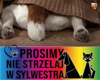 nie strzelaj w sylwestra