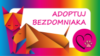 ADOPTUJ BEZDOMNIAKA