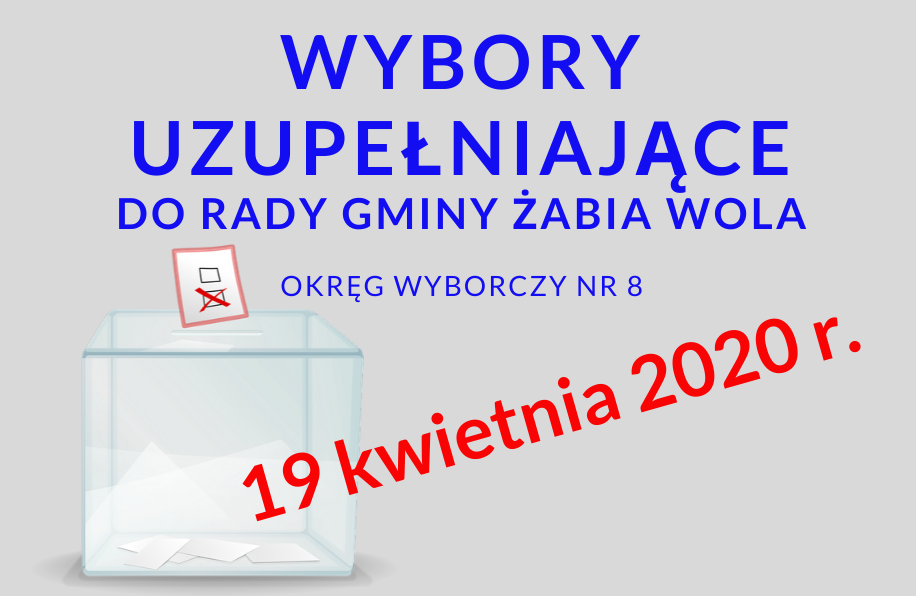 Wojewoda Mazowiecki wyznaczył datę wyborów uzupełniających do Rady Gminy Żabia Wola