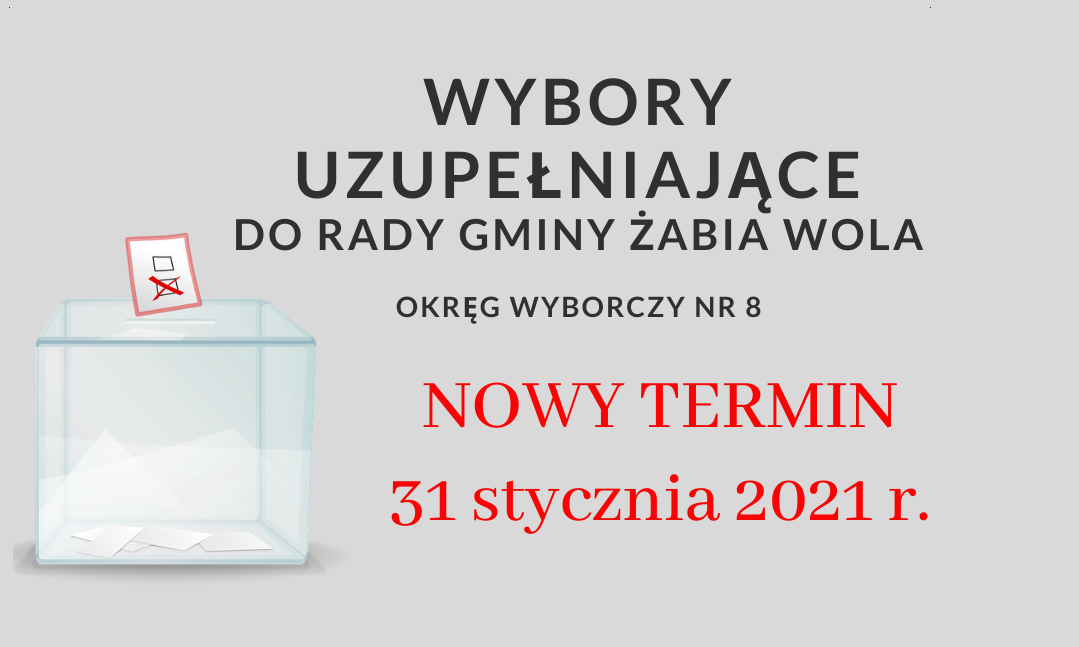 Nowy termin wyborów uzupełniających do Rady Gminy Żabia Wola