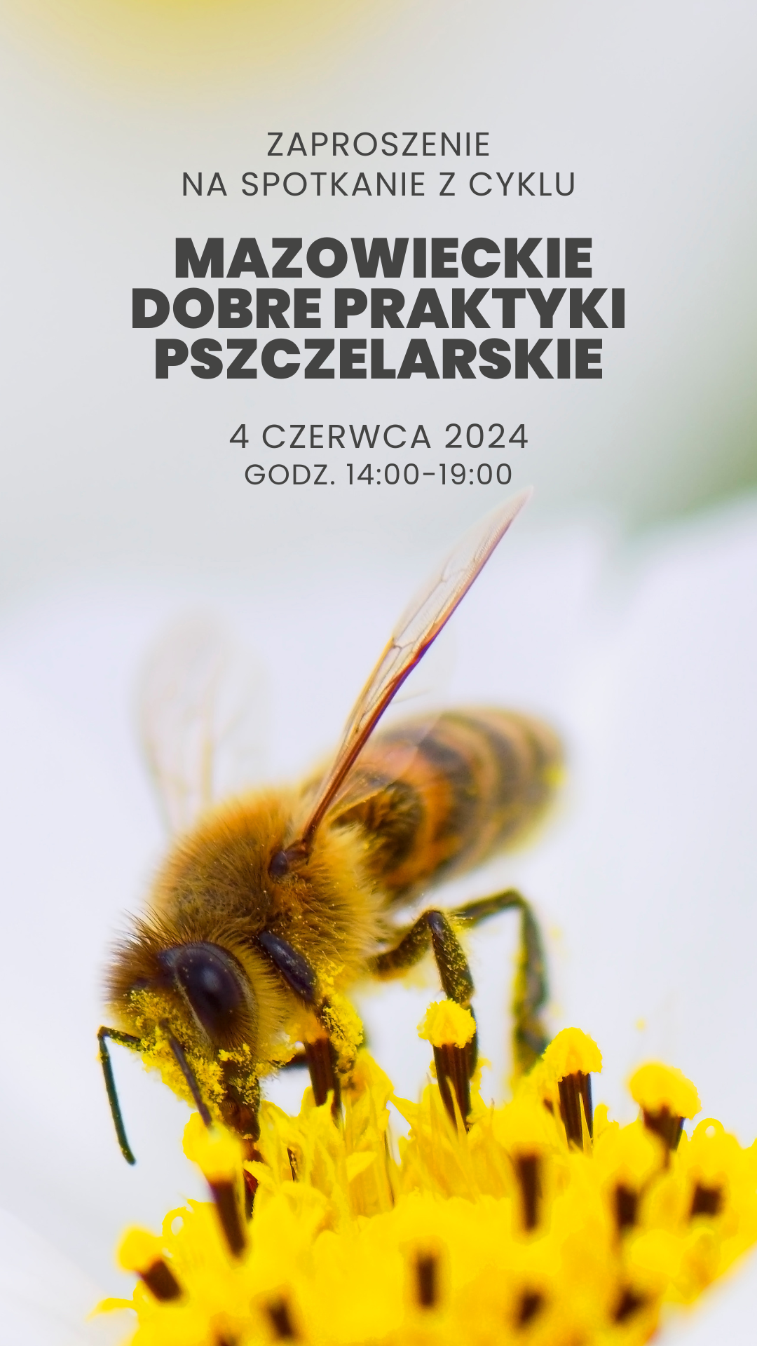 Mazowieckie Dobre Praktyki Pszczelarskie 2024