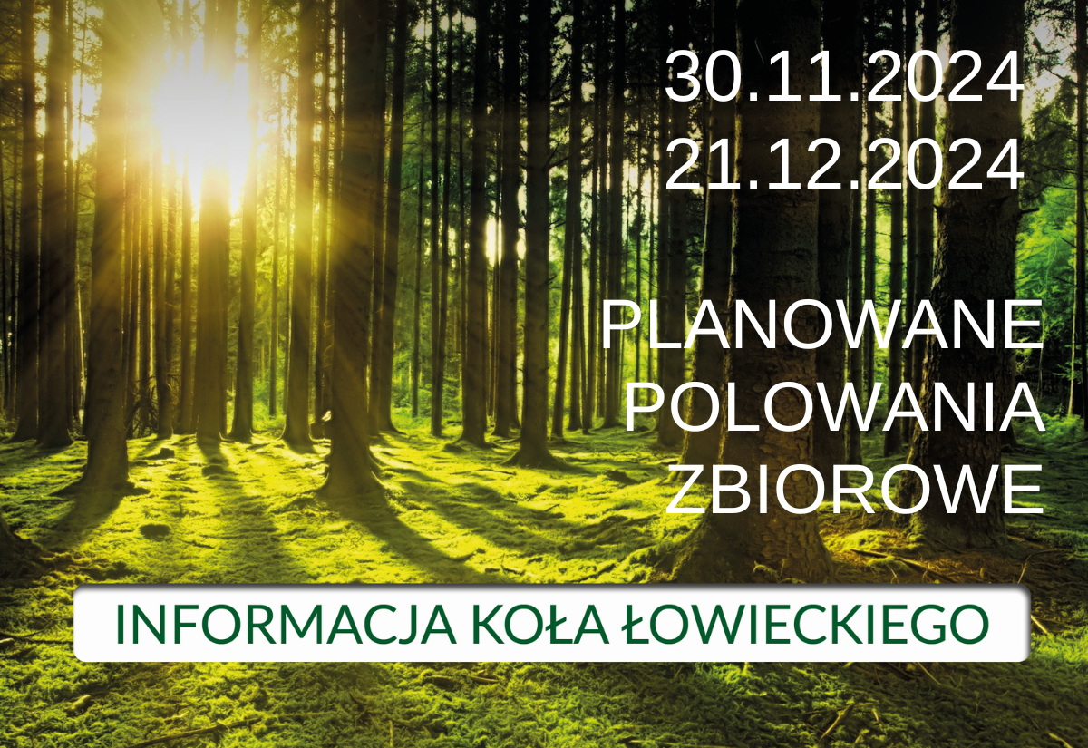 Informacja Koła Łowieckiego nr 99 „OSTOJA”