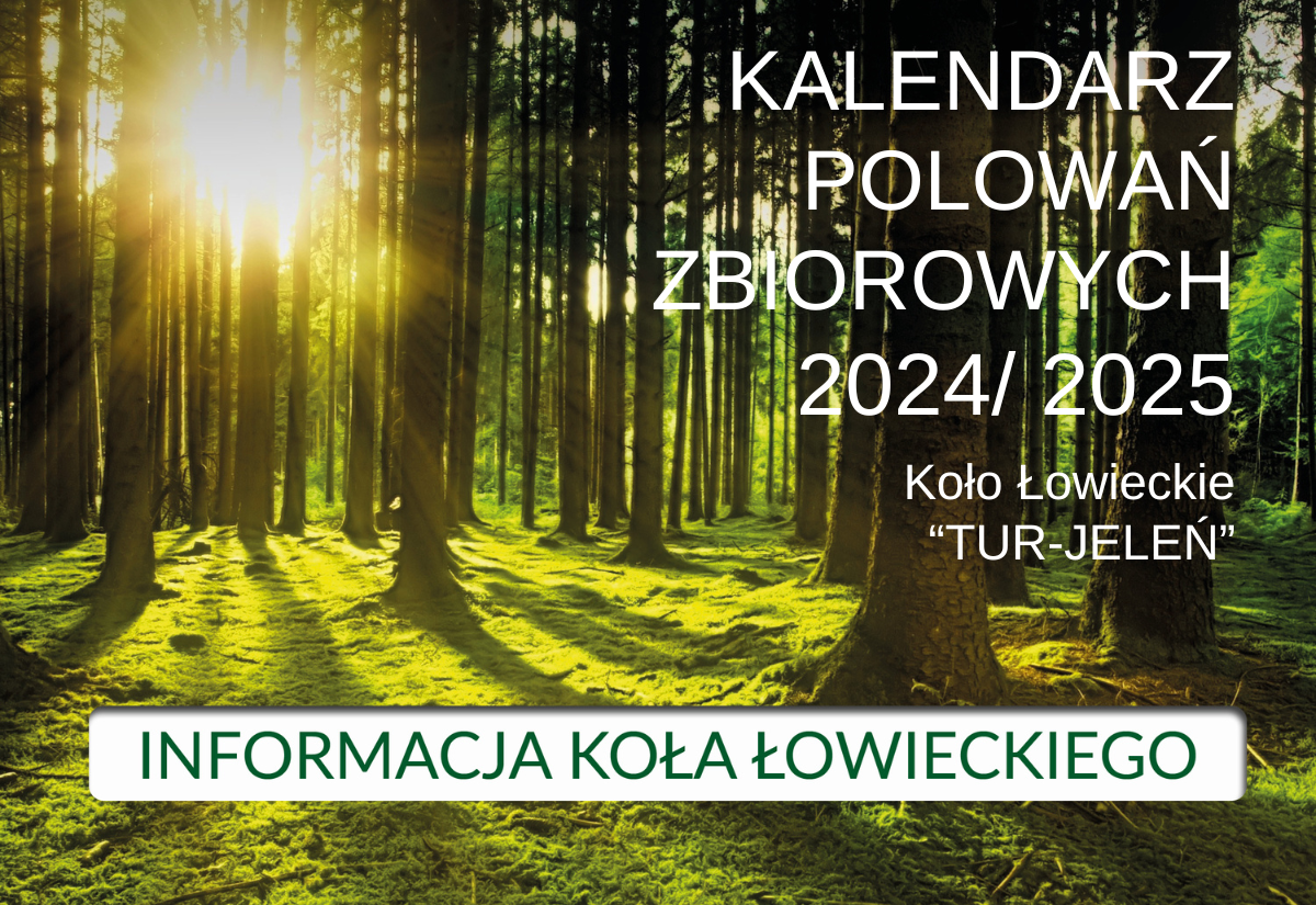 Informacja Wojskowego Koła Łowieckiego nr 35 „TUR-JELEŃ”