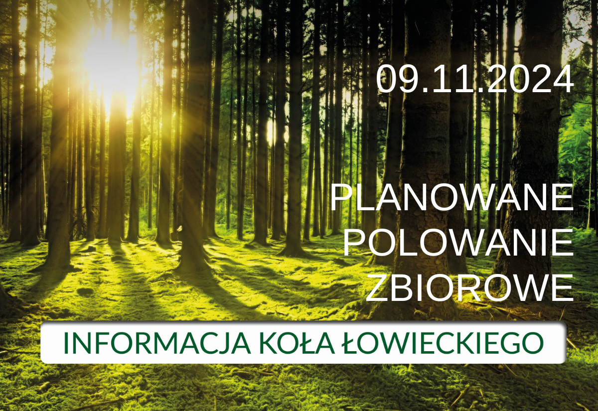 Informacja Koła Łowieckiego nr 233 "Rogacz"