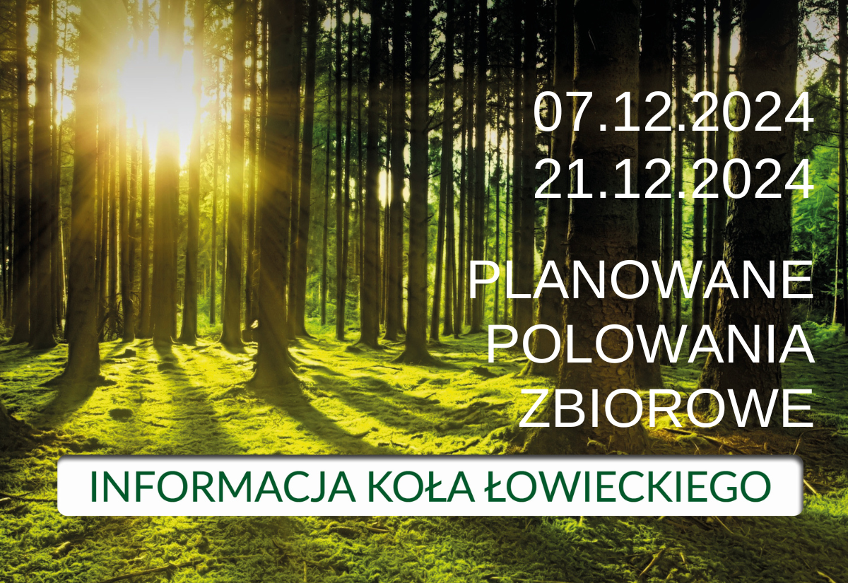 Informacja Koła Łowieckiego nr 233 "Rogacz"