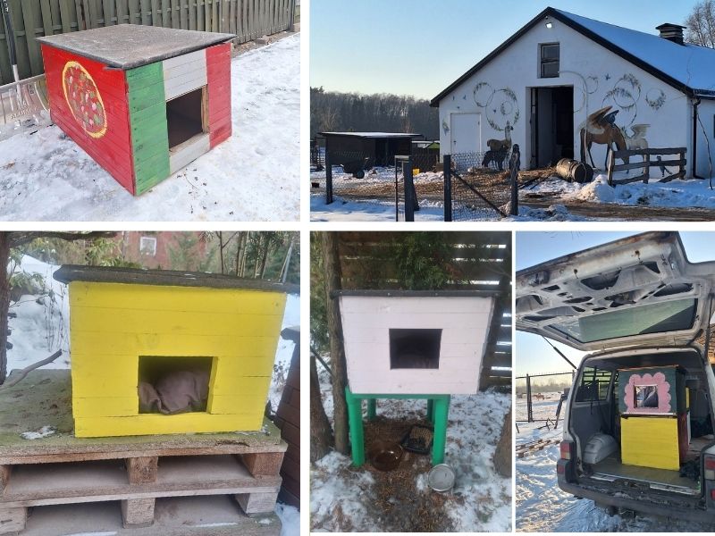 Ciepłe schronienia dla kotów wolno żyjących