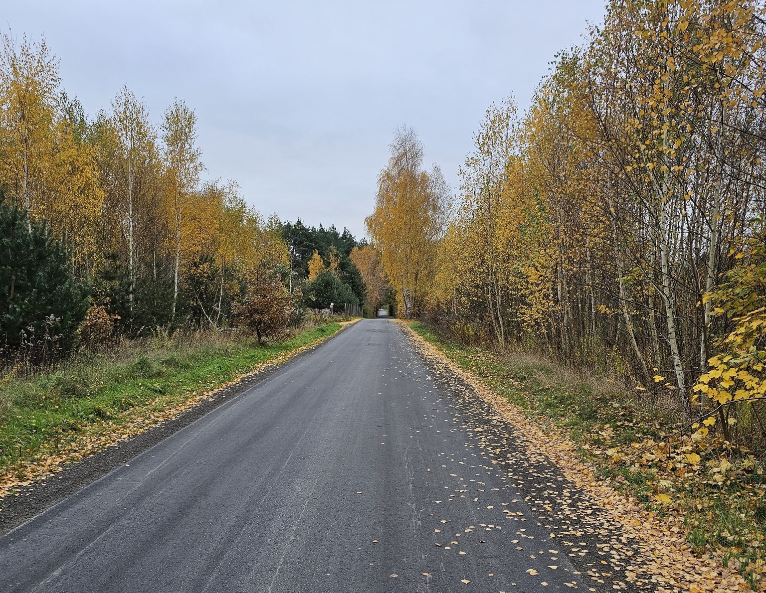 Remonty dróg w Gminie Żabia Wola - nowe nawierzchnie na ul. Fiołkowej, Nad Potokiem i Orzechowej